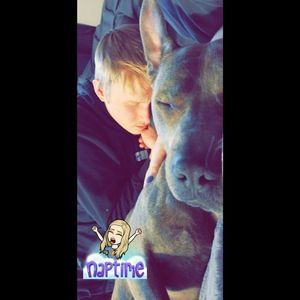 Meet your Posher, Austin